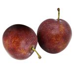 Plum
