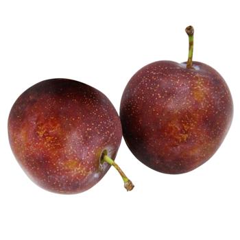 Plum - buy, prices for NOVUS - photo 1