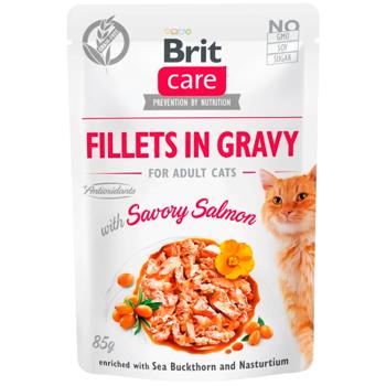 Корм вологий Brit Care з лососем для дорослих котів 85г - купити, ціни на MasterZoo - фото 1
