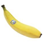 Cavendish Banana