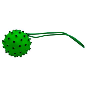 Spiked Ball with Rope Toy for Dogs 36cm - buy, prices for - photo 2