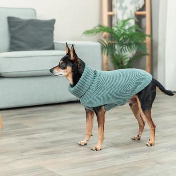 Trixie CityStyle Berlin Sweater for Dogs s.XS2 Mint - buy, prices for MasterZoo - photo 5