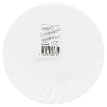 Disposable Plates 4pcs