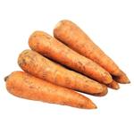 Carrot