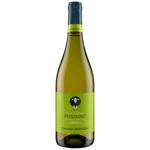 Вино Umani Ronchi біле сухе Terre di Chieti Pecorino IGT 2023 0,75 л