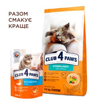 Club 4 Paws Premium Dry Food with Salmon for Sterilized Cats 2kg - buy, prices for MasterZoo - photo 5