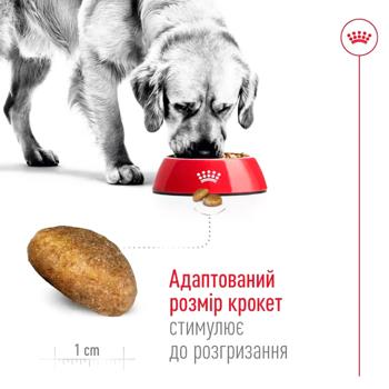 Корм сухий Royal Canin Maxi Adult з домашньою птицею для собак великих порід 3кг - купити, ціни на MasterZoo - фото 5