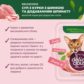 Delickcious from Chicken with Ham and Spinach Soup for Cats 80g - buy, prices for MasterZoo - photo 2