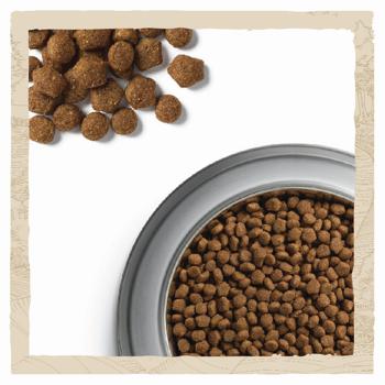 Dog Chow Puppy <1 Dry Food with Lamb for Puppies of All Breeds 14kg - buy, prices for MasterZoo - photo 8