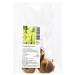 Buggy Gladiolus Bulb Tuber 3pcs