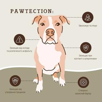Natural Dog Company Paw Tection Balm-stick for Protecting Dogs' Paws from Damage 59ml - buy, prices for MasterZoo - photo 4