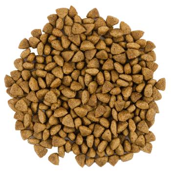 Savory Dry Food with Lamb and Turkey for Adult Cats with Sensitive Digestion 8kg - buy, prices for MasterZoo - photo 2