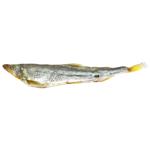 Samyj Smak Shelf Dried Smelt