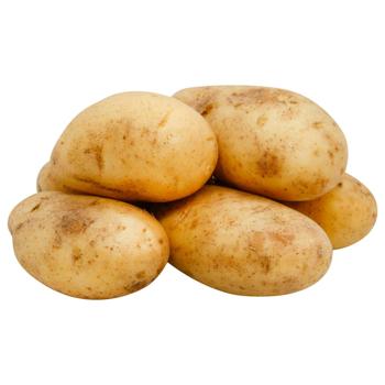 Картопля Єгипет - купити, ціни на КОСМОС - фото 1