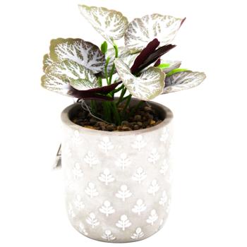 ШТУЧНА РОСЛИНА В КЕРАМ ГОРЩ 9Х - купити, ціни на Auchan - фото 3