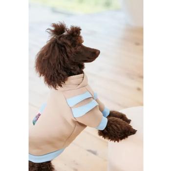 Pet Fashion Home Hoodie for Dogs s.M - buy, prices for MasterZoo - photo 4