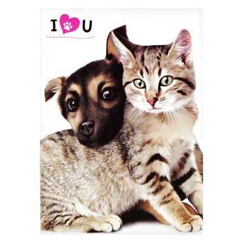 Malevaro Cats-Dogs Notebook 40 sheets in assortment Malevaro Cats-Dogs Notebook 40 sheets in assortment - buy, prices for - photo 5