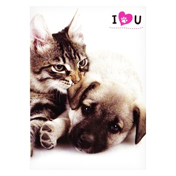 Malevaro Cats-Dogs Notebook 40 sheets in assortment Malevaro Cats-Dogs Notebook 40 sheets in assortment - buy, prices for - photo 2
