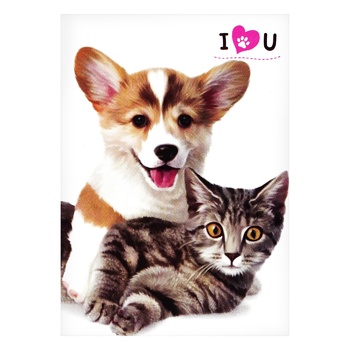 Malevaro Cats-Dogs Notebook 40 sheets in assortment Malevaro Cats-Dogs Notebook 40 sheets in assortment - buy, prices for - photo 4
