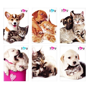 Malevaro Cats-Dogs Notebook 40 sheets in assortment Malevaro Cats-Dogs Notebook 40 sheets in assortment - buy, prices for - photo 1