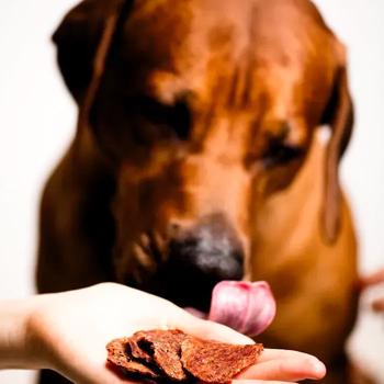 Ласощі для собак Mavsy Refined jerky 100 г - качка - купить, цены на MasterZoo - фото 5