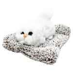 Zed Cat Soft Toy