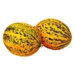 Varietal Melon