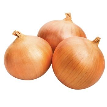 Лук репчатый