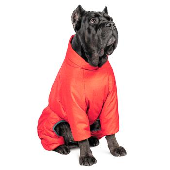 Pet Fashion Cold Raincoat for Dogs s.S Dachshund Red - buy, prices for MasterZoo - photo 4