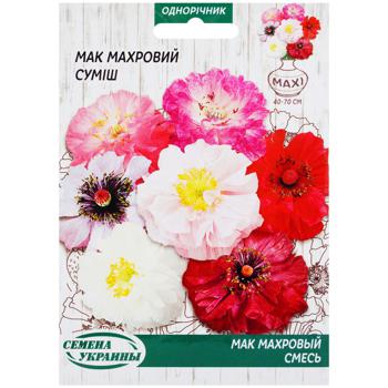 Semena Ukrayny Maxi Winter Cherry Pompon Aster Flowers Seeds 3g - buy, prices for METRO - photo 5