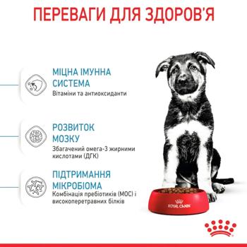 Dog food Royal canin 12000g - buy, prices for MasterZoo - photo 4