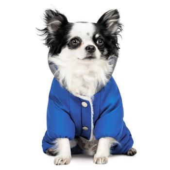 Pet Fashion Zhan Suit for Dogs s.XS - buy, prices for MasterZoo - photo 5