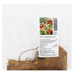 Луковица лилии ОТ Шахерезада 1шт