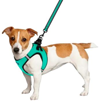 Barksi Mesh Vest Nylon Dog Harness XS 34cm Mint - buy, prices for MasterZoo - photo 4