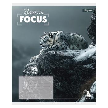 Тетрадь 1 Вересня Beasts in Focus клетка А5 36 листов - купить, цены на - фото 2