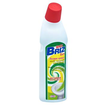 Briz Lux Forest Aroma Cleaner for Toilets 500g