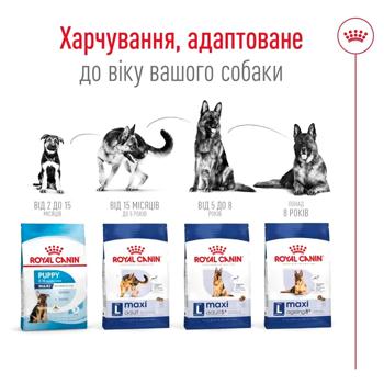 Корм сухой Royal Canin Maxi Adult с домашней птицей для собак больших пород 12кг - купить, цены на MasterZoo - фото 6