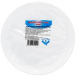 Plastic Plate Disposable 205mm 10pcs