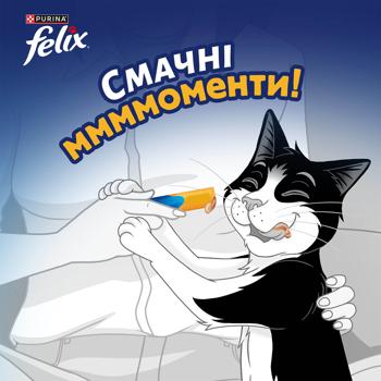 Ласощі Felix Deli Moments з куркою для котів 4шт*10г - купити, ціни на КОСМОС - фото 3