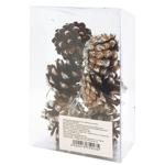 Set of Natural Pine Cones with Silver Tips 6pcs