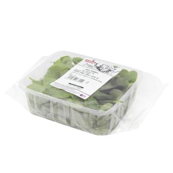 Baby Spinach 75g - buy, prices for NOVUS - photo 1