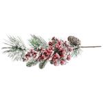 Ornamental plant Without brand China