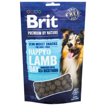 Brit Premium Lamb with Sea Buckthorn Semi-moist Snack for Adult Dog 180g - buy, prices for MasterZoo - photo 1