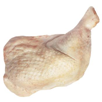 Broiler Chicken Leg