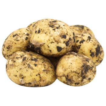 Картопля молода рання - купити, ціни на Чудо Маркет - фото 1