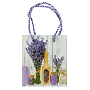 Пакет подарунковий 10331-9673XS - купити, ціни на Чудо Маркет - фото 1