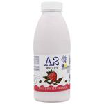 Molochnyi Svit  A2 Strawberry-Cereals Yogurt 1.5% 450g