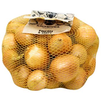 Onion in Grid 3kg - buy, prices for METRO - photo 1