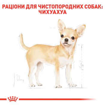 Корм сухий Royal Canin з домашньою птицею для дорослих собак породи чихуахуа 500г - купити, ціни на MasterZoo - фото 5