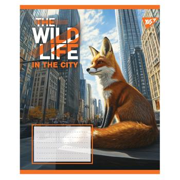 Зошит Yes The Wild in The City клітинка А5 24 аркуші - купити, ціни на NOVUS - фото 2